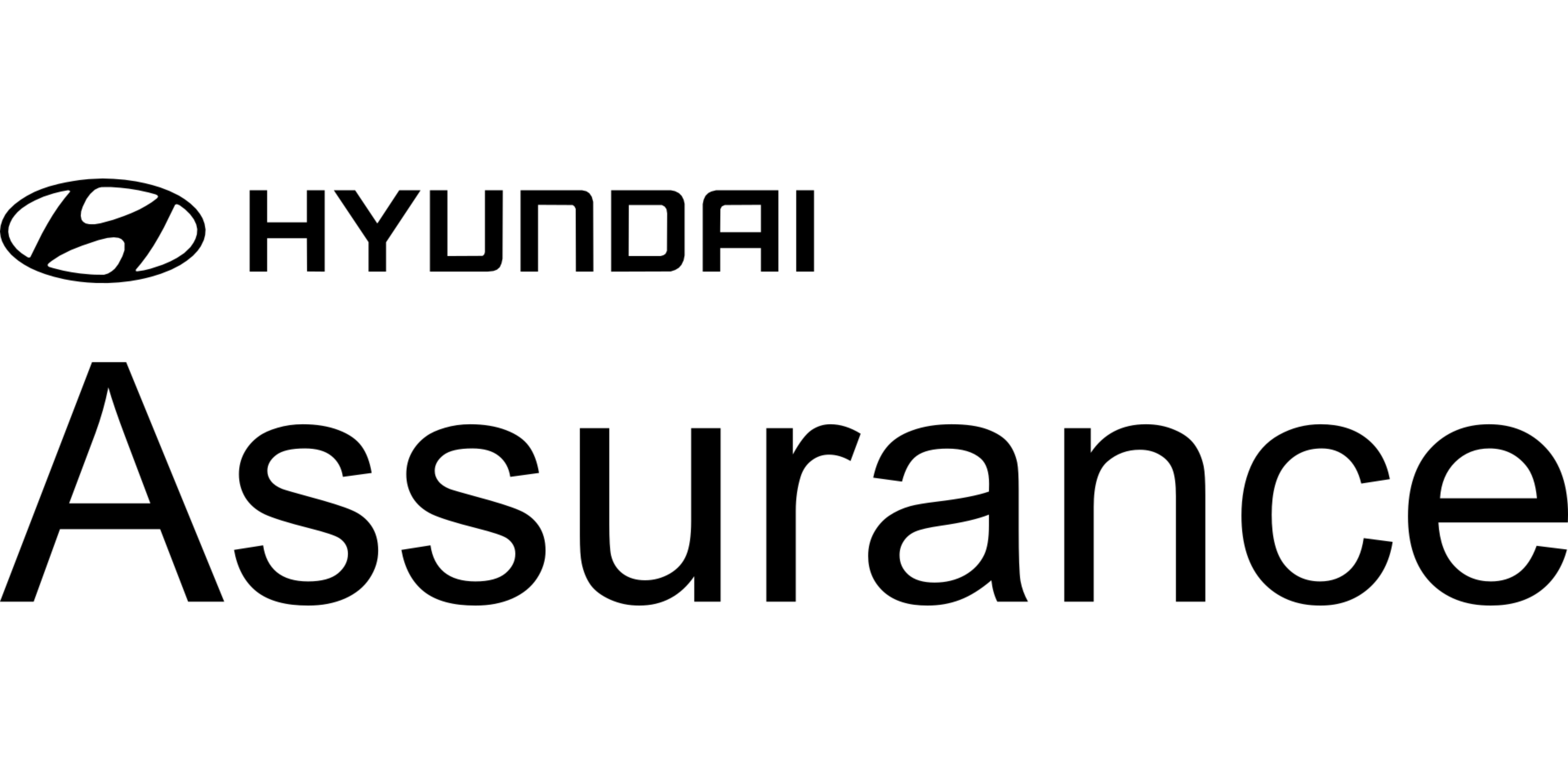  Hyundai Assurance